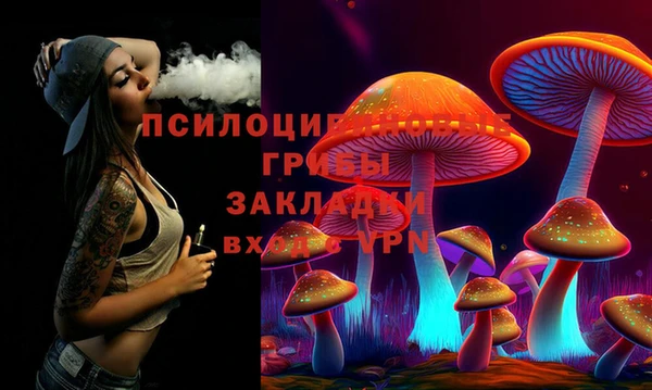 а пвп мука Абаза